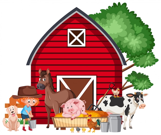Сцена с маленькой девочкой, кормящей животных на ферме