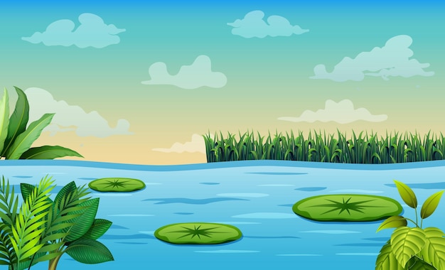 Vector scene with lotus in the pond illustration