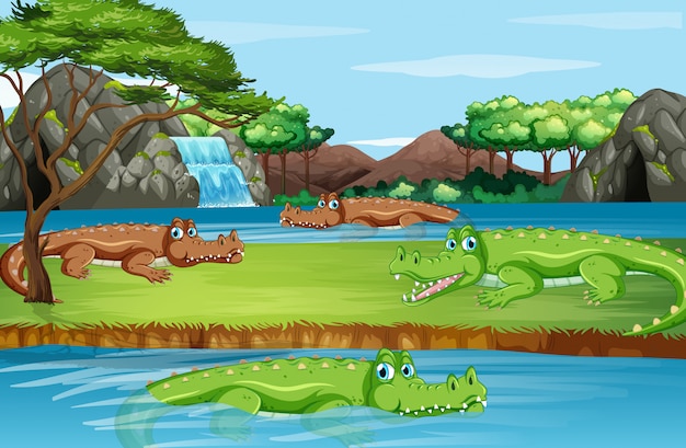 Vector scene with many crocodiles