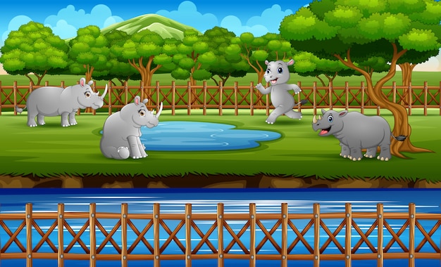 Сцена с множеством носорогов, играющих в открытой клетке зоопарка