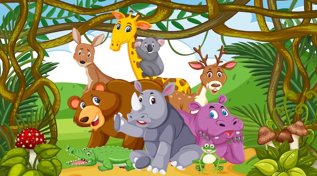 Scene with many wild animals in the forest