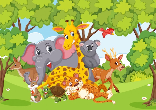 Vector scene with many wild animals in the forest