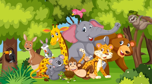 Vector scene with many wild animals in the park