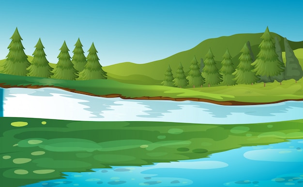 Vector scene with pine trees by the river