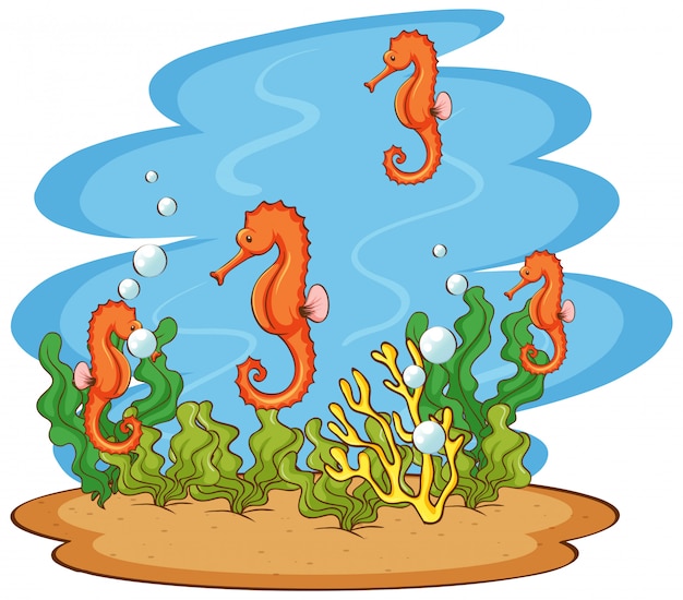 Scene with seahorses swimming underwater