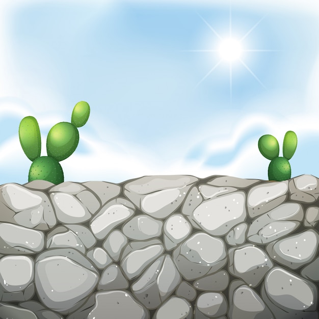 Vector scene with stone wall and cactus