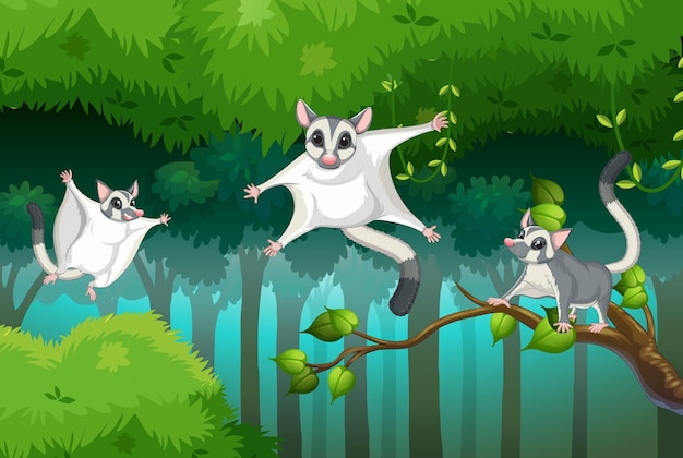 Scene with sugar glider in forest