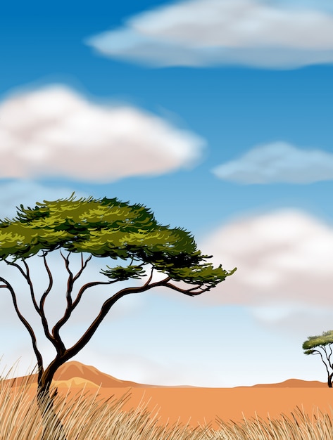 Vector scene with tree in the desert field