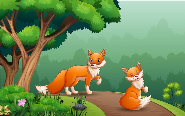 Scene with two fox on the road