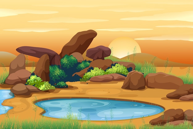 Vector scene with a waterhole at sunset