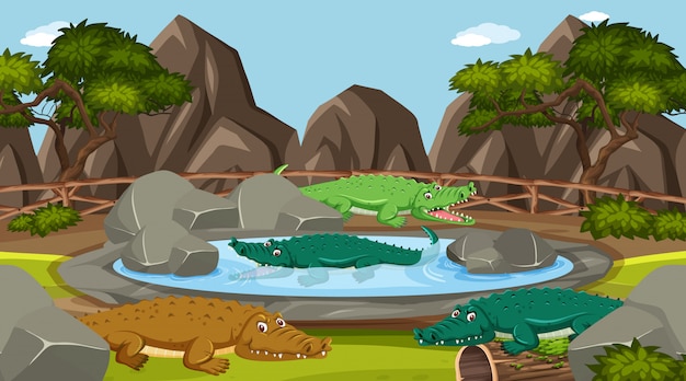 Scene with wild animals in the zoo at day time