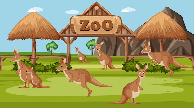 Scene with wild animals in the zoo at day time