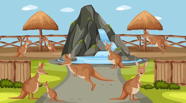 Scene with wild animals in the zoo at day time