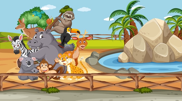 Scene with wild animals in the zoo at day time