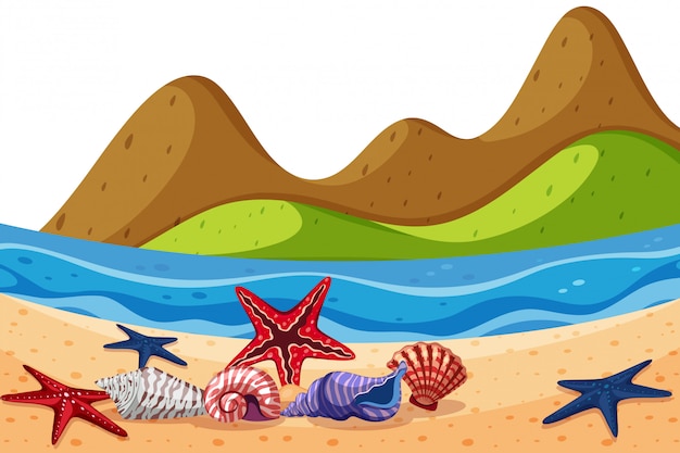 Vector scenery background of seashells and starfish on beach