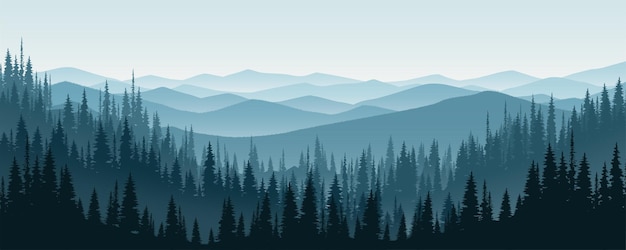 冬の山や松林の風景