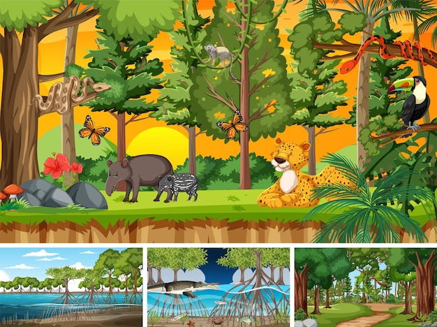 Сцены с дикими животными в лесу