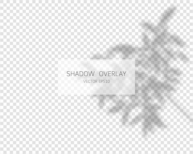 Schaduw overlay effect