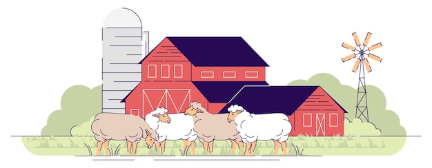 Vector schapenboerderij platte vectorillustratie. veehouderij, veeteelt cartoon concept. schapen grazen op erfweide. dorpslandbouwgrond met boerenerf, landelijke boerderij. houten rode schuren gebouwen