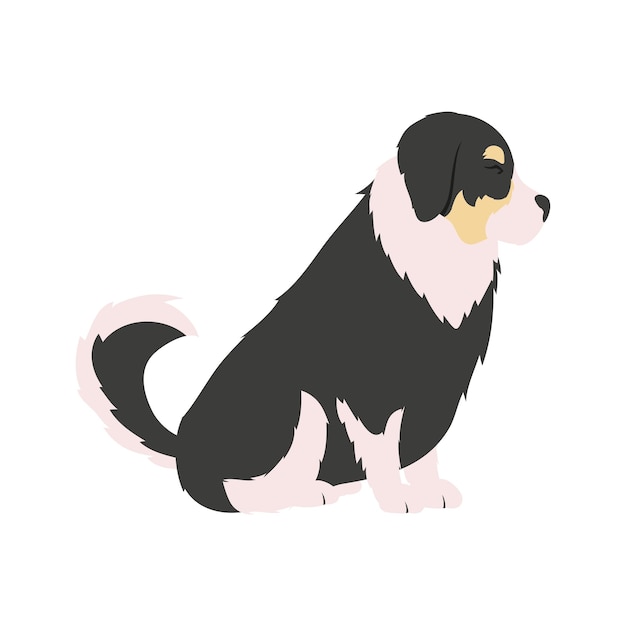 Schattig Berner Sennenhond dier