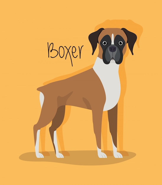 Schattig boxer hond huisdier karakter