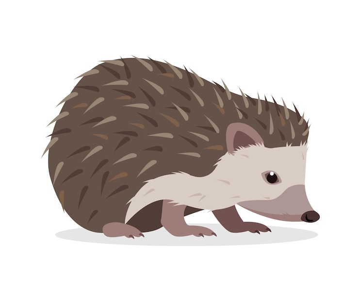Vector schattig egeldier stekelig egelpictogram wild zoogdier bosdierkarakter