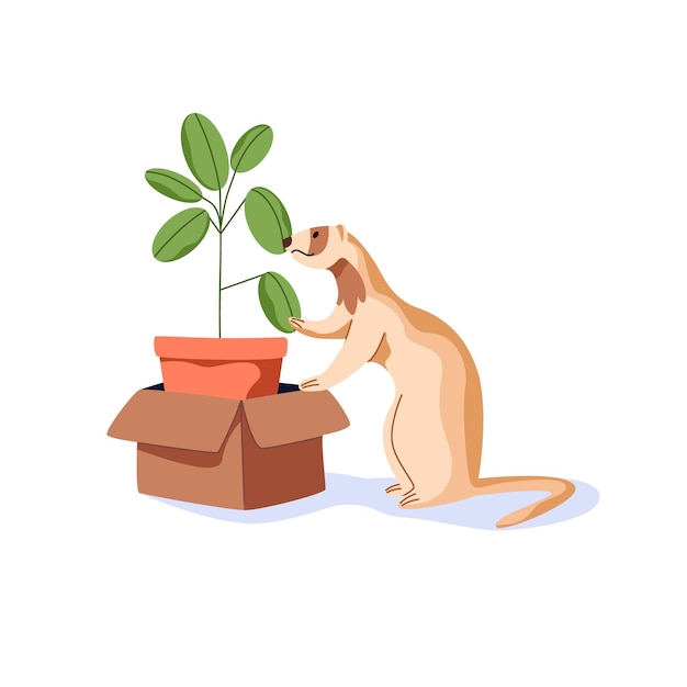 Schattig fret snuiven kamerplant in vak grappige wezel met ingegoten kamerplant schattig dier botanicus platte cartoon vectorillustratie van zoete mooie nerts geïsoleerd op witte achtergrond