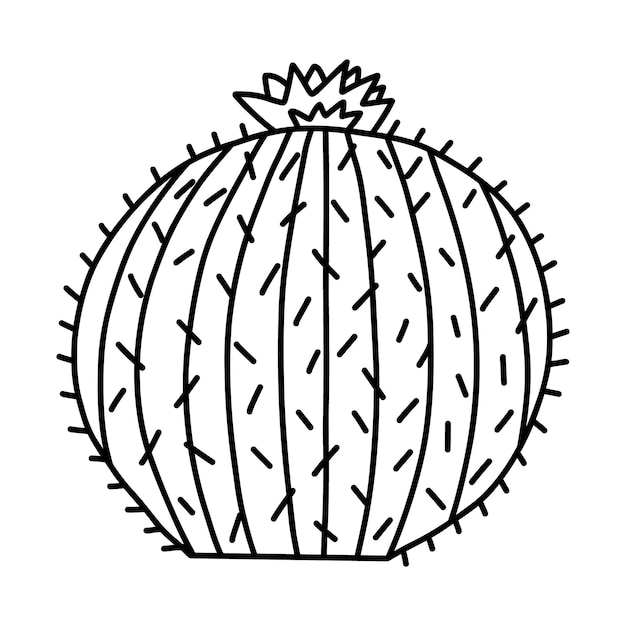 Vector schattig hand getrokken cactus doodle uit mexico of wilde westen woestijn doodle met omtrek vector eenvoudige cactussen bloem met doornen in cartoon stijl mexicaanse stekelige exotische plant geïsoleerd op witte achtergrond