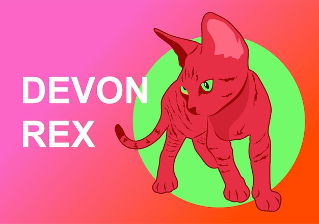 schattig huisdier devon rex vectorillustratie