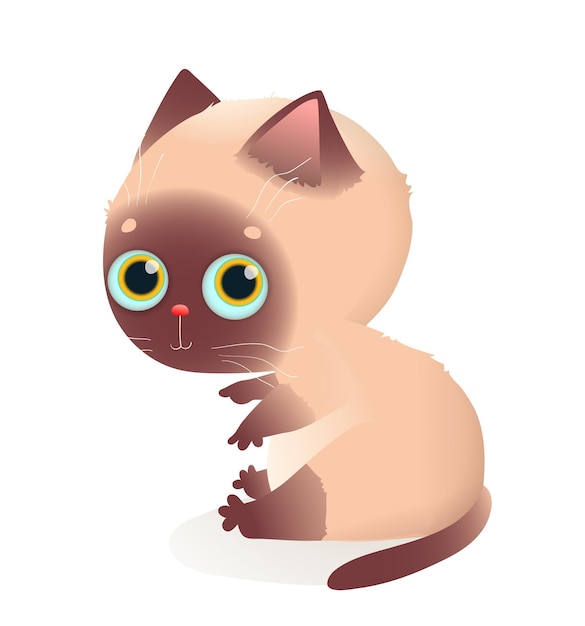 Schattig huisdier kat of kitten Siamese ras Clipart