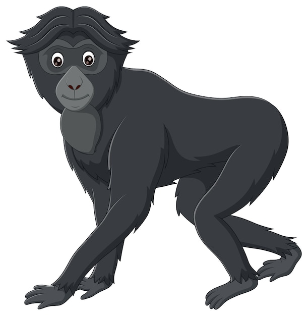 Schattig siamang cartoon geïsoleerd op witte achtergrond vectorillustratie