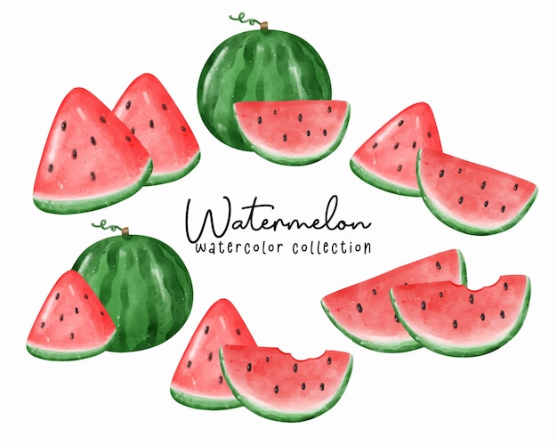 Schattig watermeloen aquarel illustratie collectie verse kleurrijke en sappige illustraties