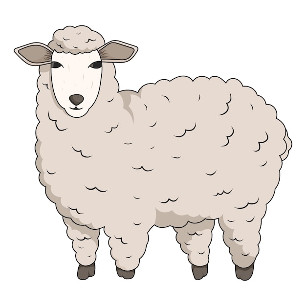 Schattig wol schapen Vector geïsoleerde illustratie van binnenlandse landbouwhuisdieren