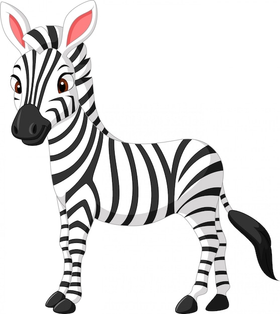 Schattig zebra cartoon