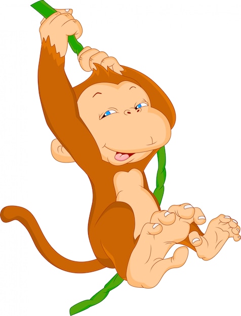 Schattige aap cartoon
