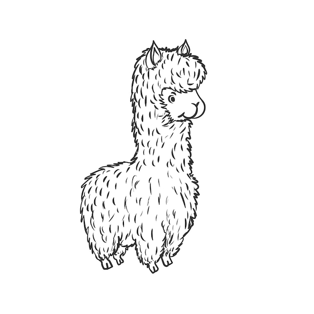 Schattige Baby Lama alpaca staande handgetekende vectorillustratie geïsoleerd op wit voor tattoo posters