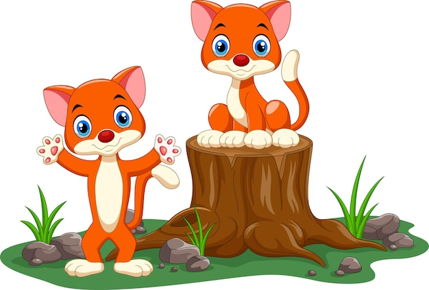 Schattige babykat cartoon