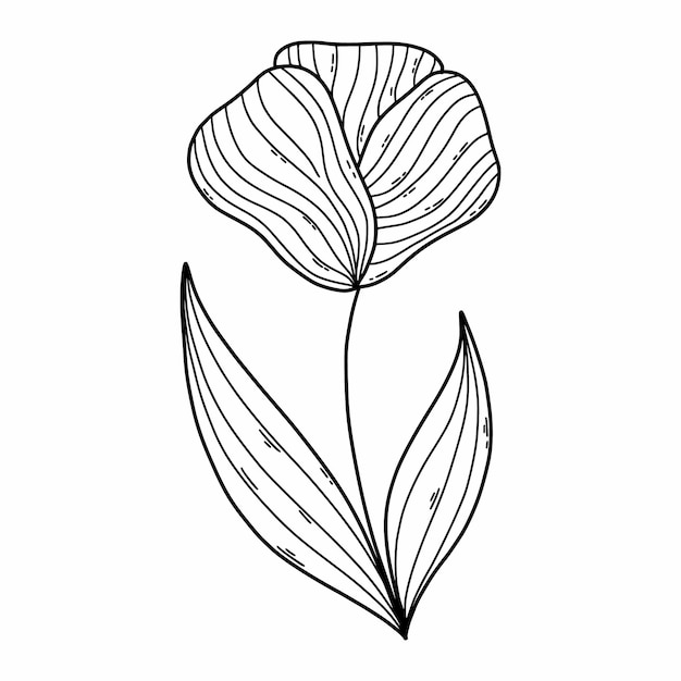 Schattige bloem in doodle stijl Hand getrokken tekening van plant Kleurboek