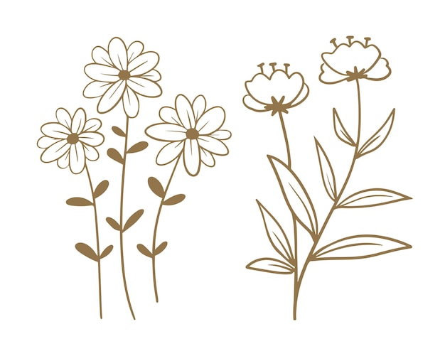 Schattige bloemen met takken en bladeren geïsoleerd ontwerp van de pictogram vectorillustratie