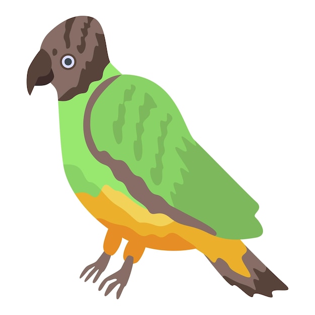 Schattige groene papegaai pictogram Isometrisch van schattige groene papegaai vector pictogram voor webdesign geïsoleerd op een witte achtergrond