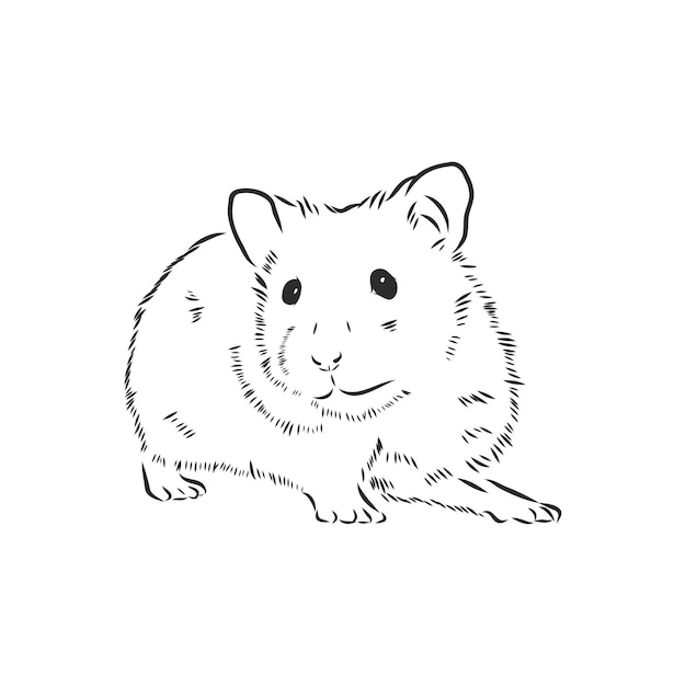 Schattige hamster huisdier knaagdier vector schets illustratie