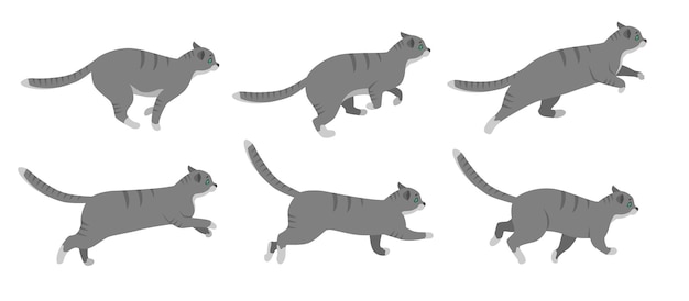 Vector schattige kat cartoon karakter lopende vector illustraties set. animatieframes van kitten in actie, huisdier op wandeling of in achtervolging na muis geïsoleerd op een witte achtergrond. dierenconcept voor game-design