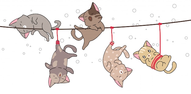 Schattige katten hingen met touw