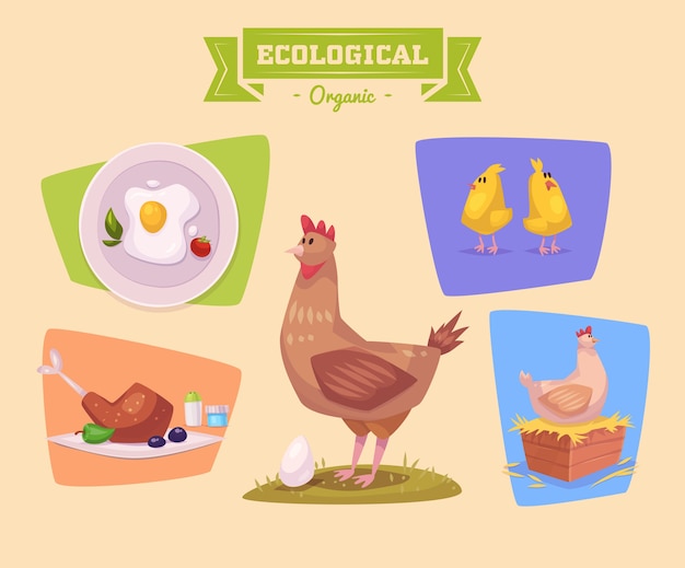 Schattige kippenboerderijdier. illustratie van geïsoleerde boerderijdieren die op gekleurde achtergrond worden geplaatst. vlakke afbeelding