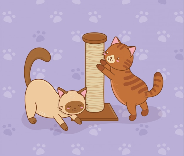 Schattige kleine katten mascottes tekens