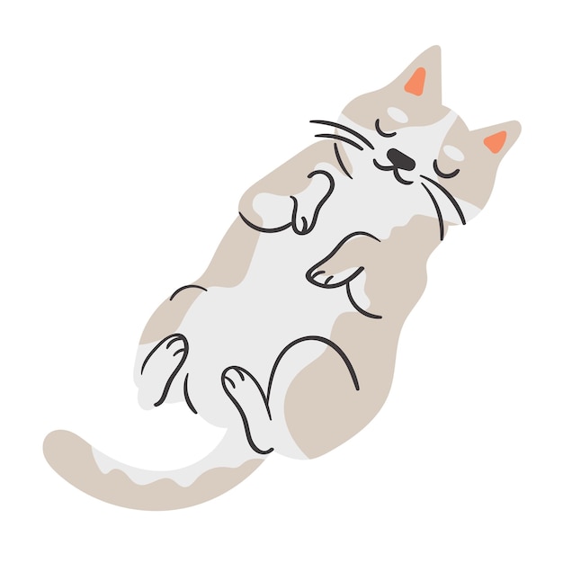 Schattige knipoogende cartoon kat schattige en speelse katten illustratie