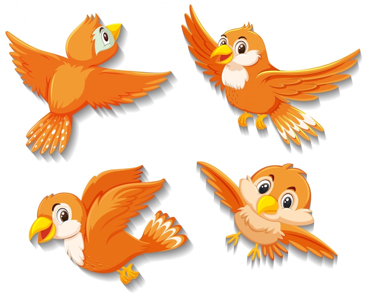 Vector schattige oranje vogel stripfiguur