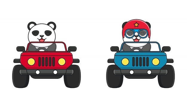 Schattige panda ride a car