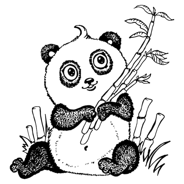 Schattige panda tekening vectorillustratie