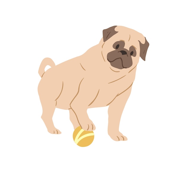 Schattige pug met gerimpeld gezicht spelen met bal. schattige rimpelige hond van fawn kleur. rasecht lichtbruin hondje. platte vectorillustratie van speelse puppy geïsoleerd op wit.